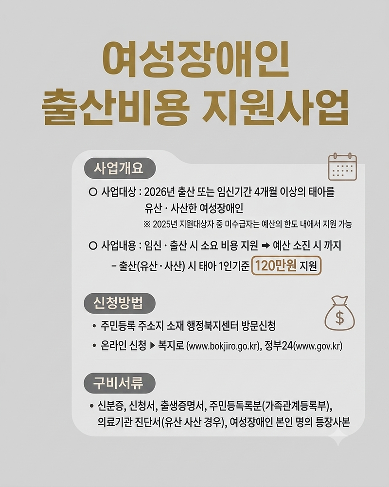 여성장애인출산비용지원사업_리플렛.png 이미지