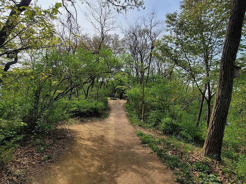 서곶근린공원 방면 사진