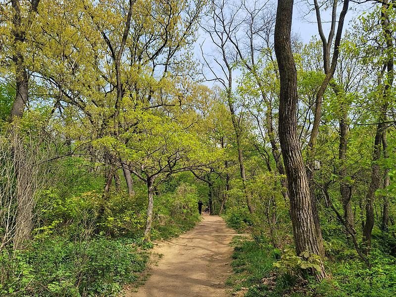 서곶근린공원 방면 사진