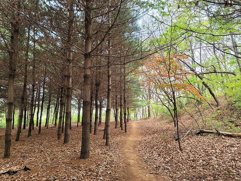 검암신명~은지초 방면 사진