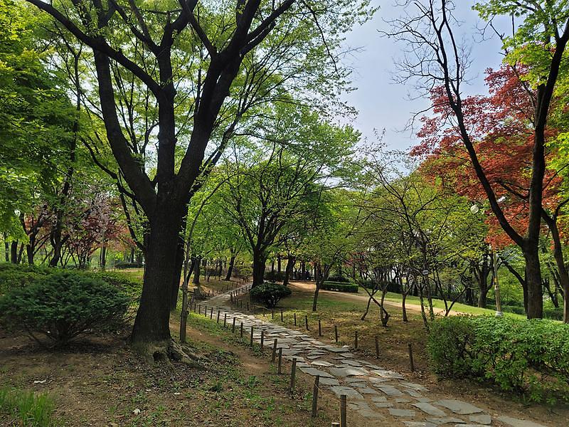 서곶근린공원 사진
