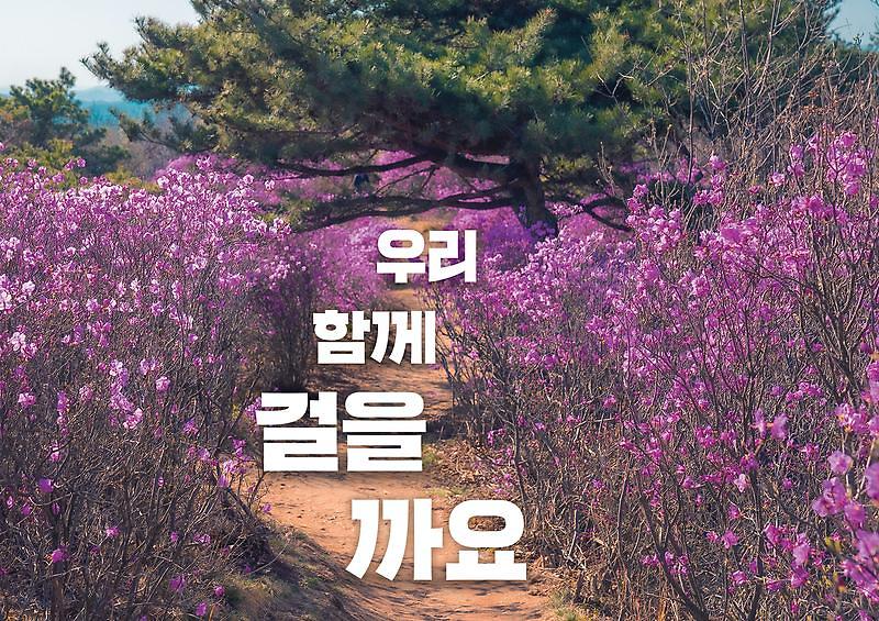 가현산 둘레길 사진