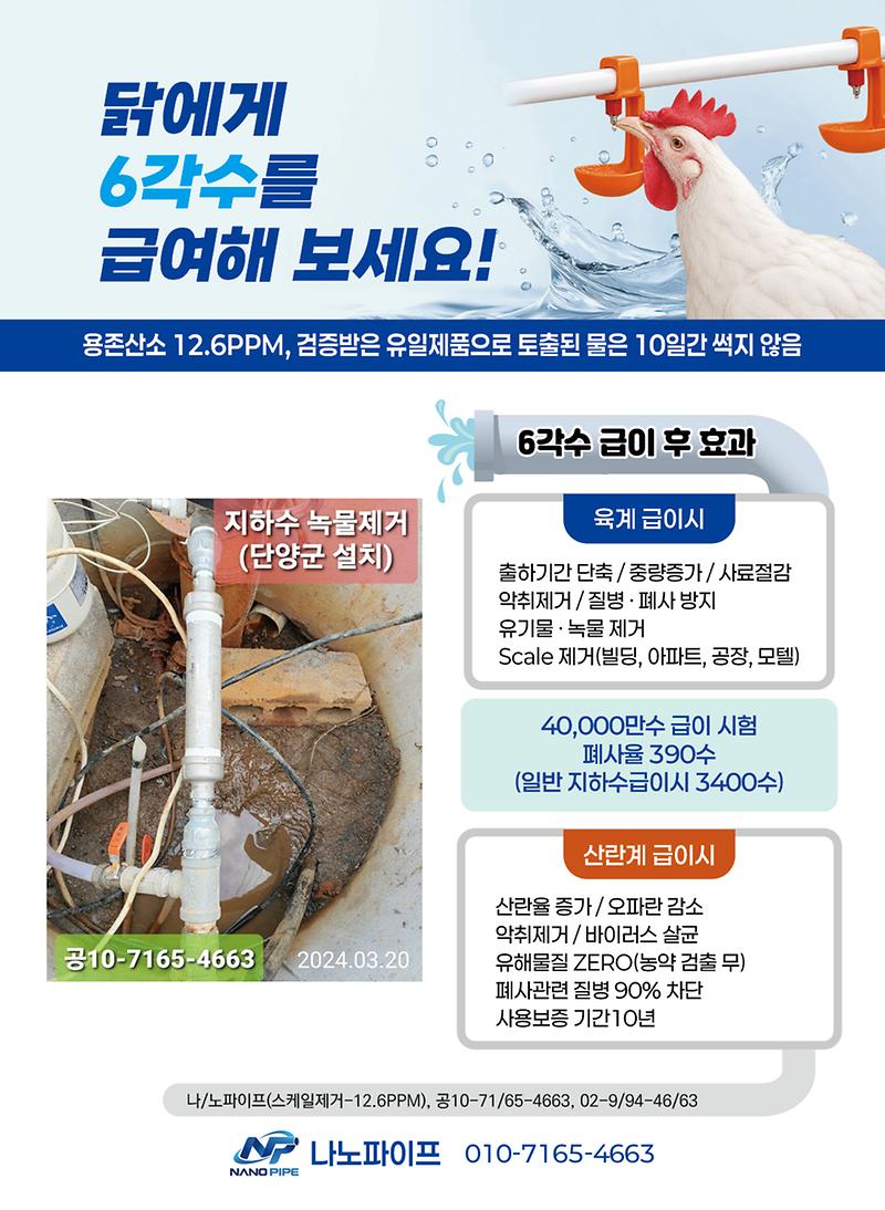 닭뉴.jpg 이미지