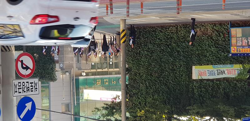 20191016_081024.jpg 이미지