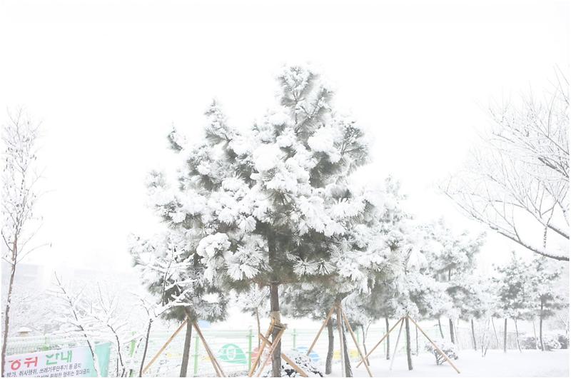 20110128153105_42920.jpg 이미지