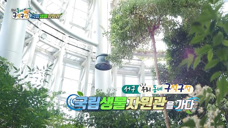 [2019 우리동네 구석구석 4회] - 국립생물자원관을 가다! 사진