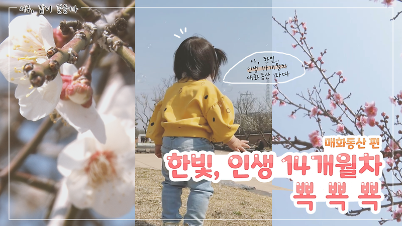 [같이 걸을까, 서구] 한빛, 인생 14개월차 뾱 뾱 뾱! 사진