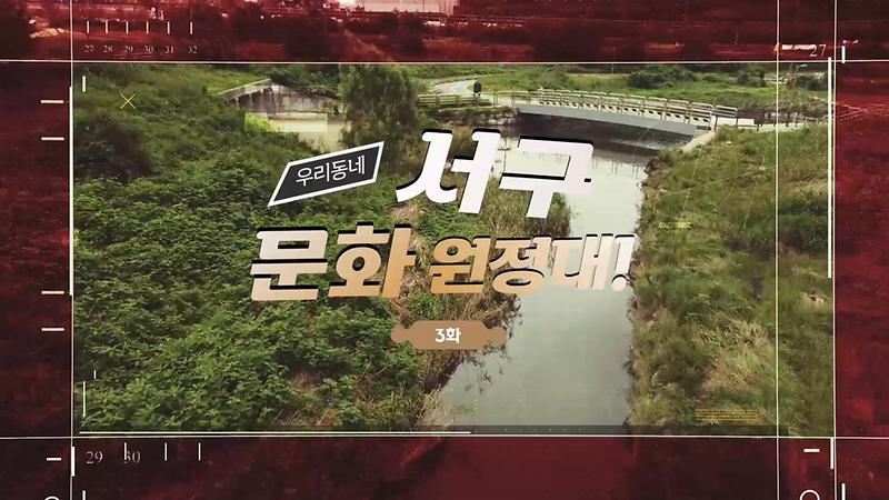 [서구 문화원정대] 매립지와 도시생태 시민연구단 사진