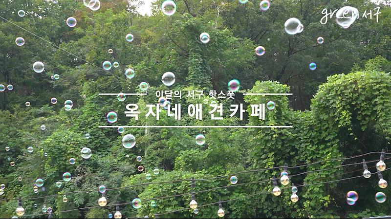 <Green 서구> 2024. 11월호 이 달의 스폿 영상 사진