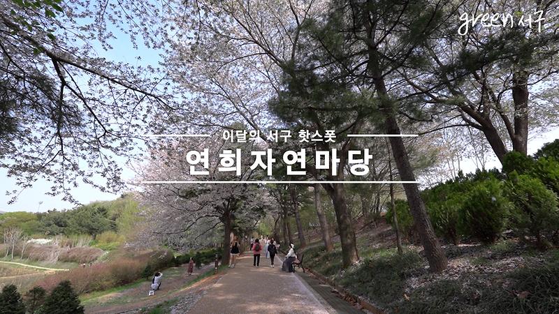 <Green 서구> 이 달의 스폿 영상 사진