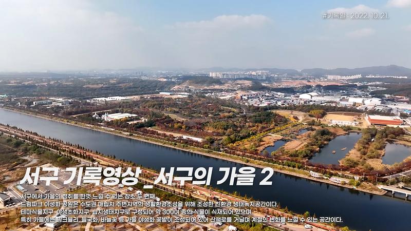 [서구, 오늘의 기록] 서구의 가을 2 (드림파크 야생화공원) 사진