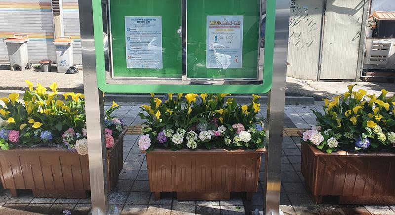 3“꽃길만_걸어요~”…가좌1동,_‘우리_동네_가로변_화분_조성’_시행_(4).jpg 이미지