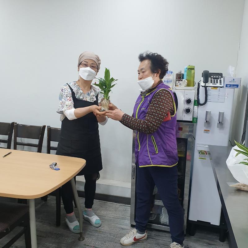 5서구노인복지관,_경로당_어르신_수경식물_재배_키트_나눔_.jpg 이미지
