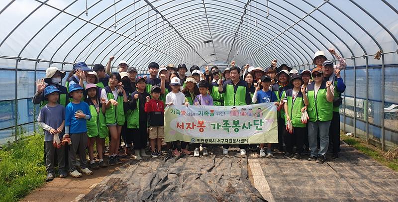 17‘서자봉_가족봉사단_농촌일손돕기_활동’(1).jpg 이미지