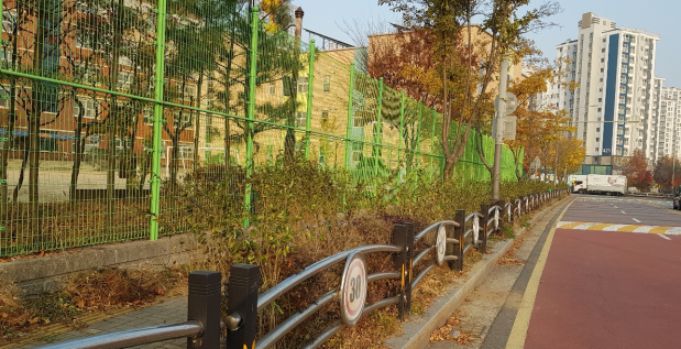 가로수 식재 보식 공사 시행 후 현장사진