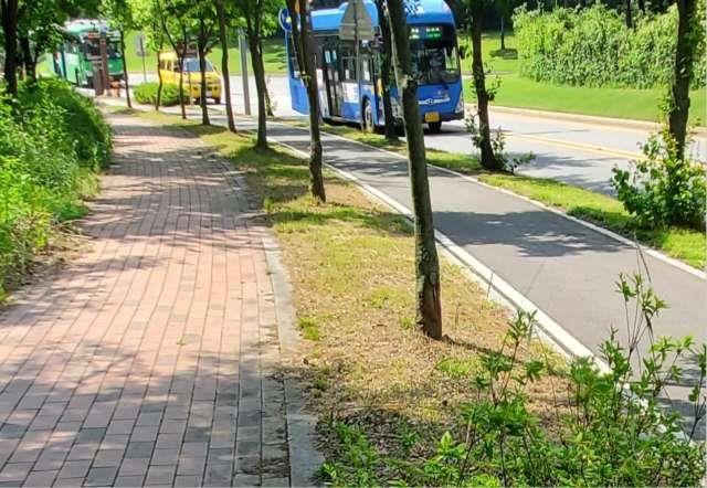 검암경서의 푸르른 골목길 조성 시행 전 현장사진