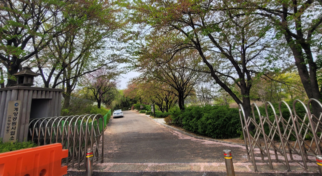 시작점 사진