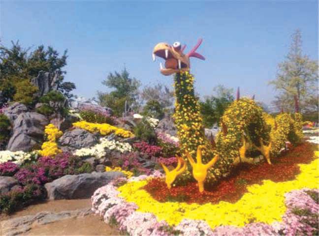 Dream park Chrysanthemum Festival 2
