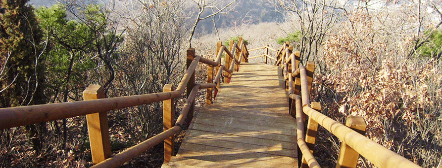 천마산등산로 사진